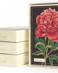 Boxed Notecards | Botanica