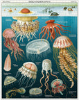 Vintage Puzzle - Jellyfish