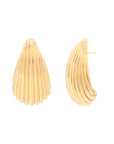 Shell Earrings